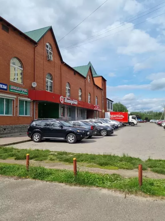 Студия Московская область, Дмитров Оборонная ул., 30 (25.0 м) - Фото 2