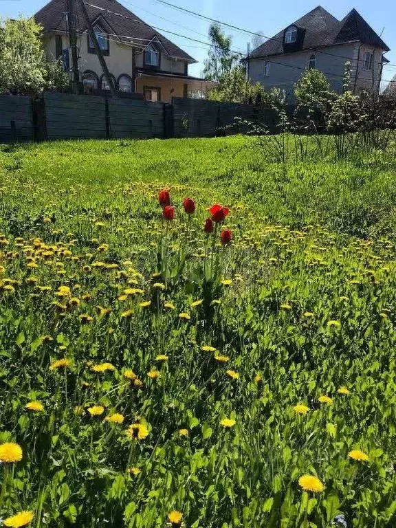 Участок в Москва Язово СНТ, 366с1 (4.0 сот.) - Фото 1