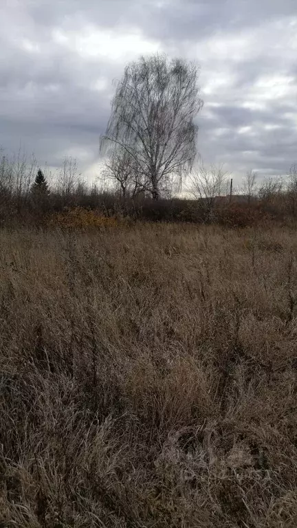 Участок в Татарстан, Зеленодольский район, с. Мизиново Советская ул., ... - Фото 1