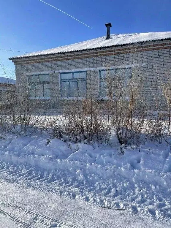 Помещение свободного назначения в Курганская область, Шумихинский ... - Фото 2