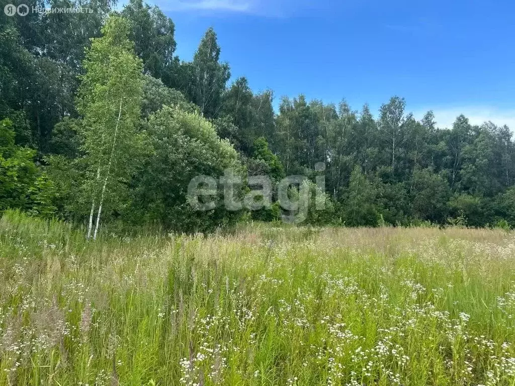 Участок в Молодёжный, улица Карбышева (15.96 м) - Фото 2