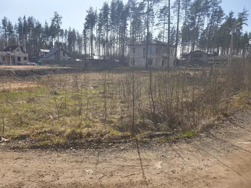 Участок в Ленинградская область, Всеволожский район, Токсовское ... - Фото 1