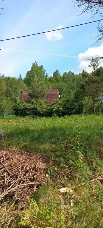 Участок в Ленинградская область, Приозерский район, Ромашкинское ... - Фото 2