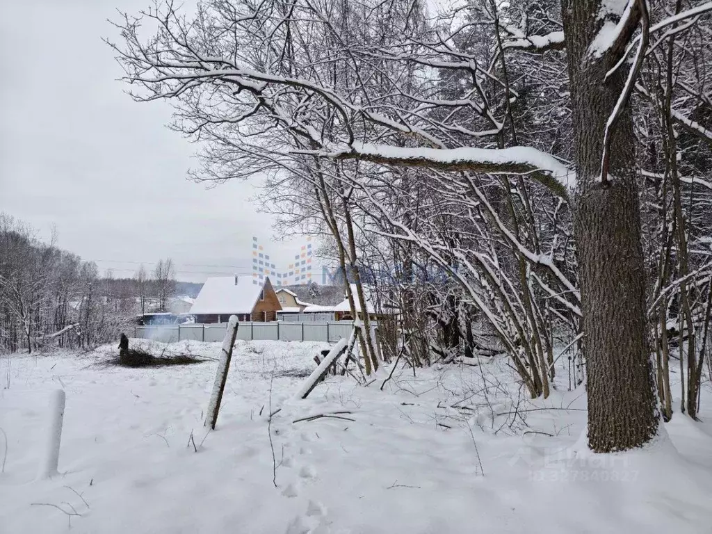 Участок в Нижегородская область, Богородский муниципальный округ, ... - Фото 1