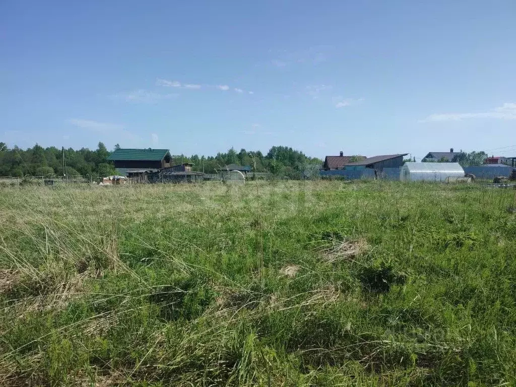 Участок в Вологодская область, Череповецкий район, Мяксинское ... - Фото 1