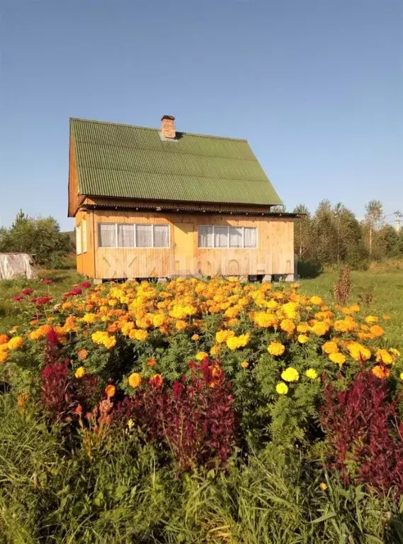 Дом в Хакасия, Абакан ул. Пушкина (112 м) - Фото 0