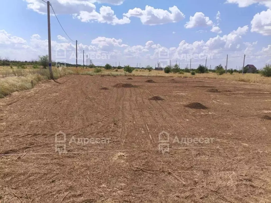 Участок в Волгоградская область, Волгоград Мандариновая ул. (6.25 ... - Фото 2