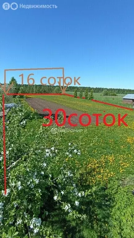 Участок в деревня Арбонье, 51 (30 м) - Фото 1
