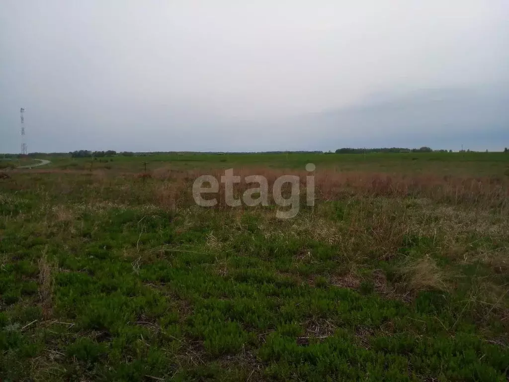 Участок, 13.5 сот., поселения (ижс) - Фото 1