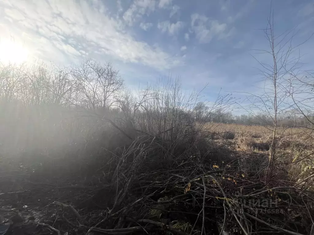 Участок в Московская область, Шатура  (15.0 сот.) - Фото 2