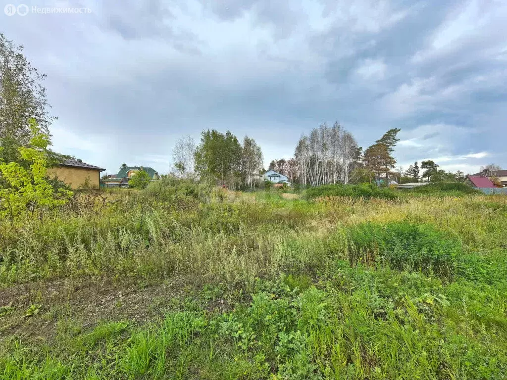 Участок в посёлок Омский (11 м) - Фото 1