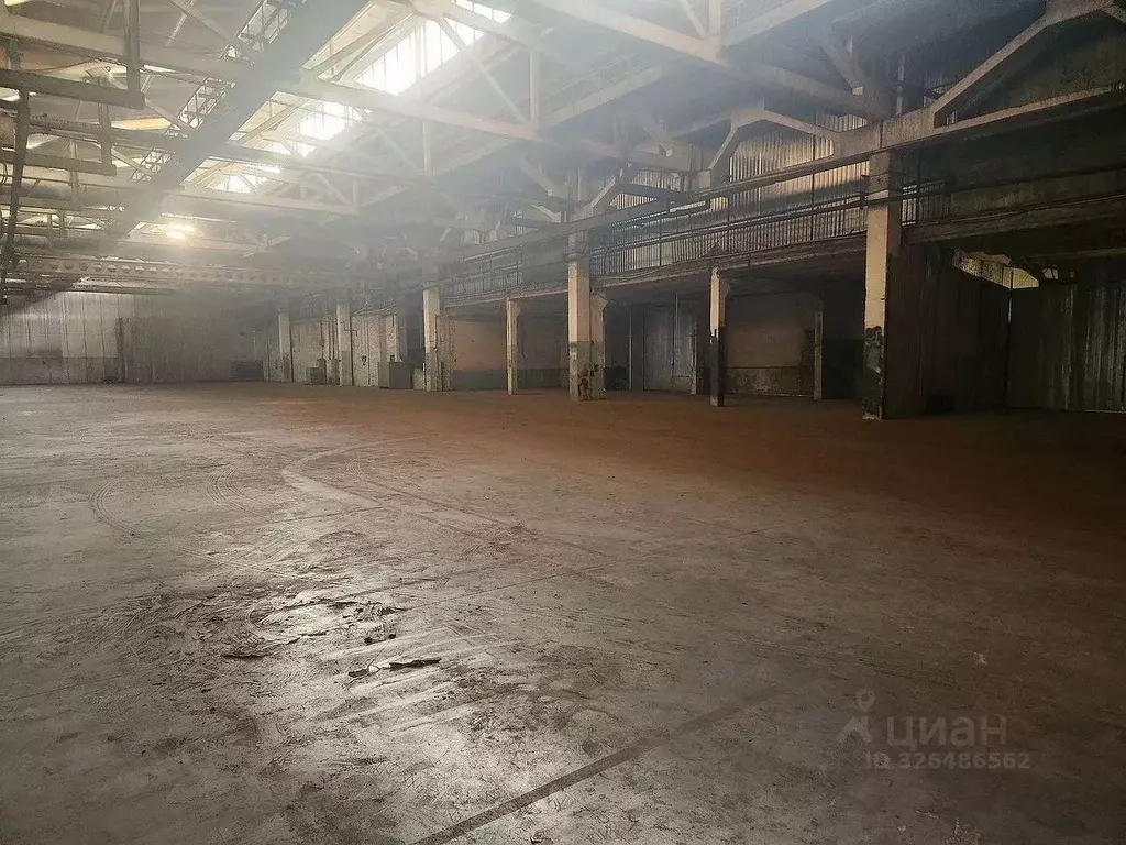 Производственное помещение в Ростовская область, Ростов-на-Дону ул. ... - Фото 1