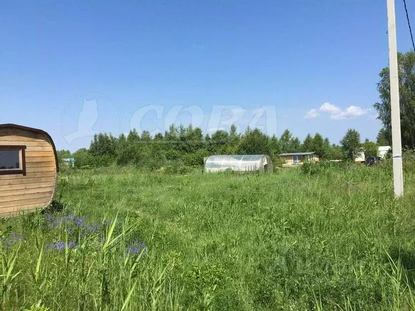 Участок в Тюменская область, Тюменский район, Лоза СНТ ул. 8-я (9.0 ... - Фото 0