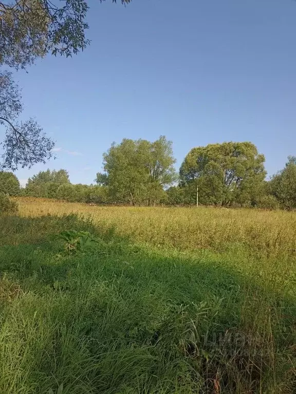 Участок в Тверская область, Конаковский муниципальный округ, ... - Фото 1