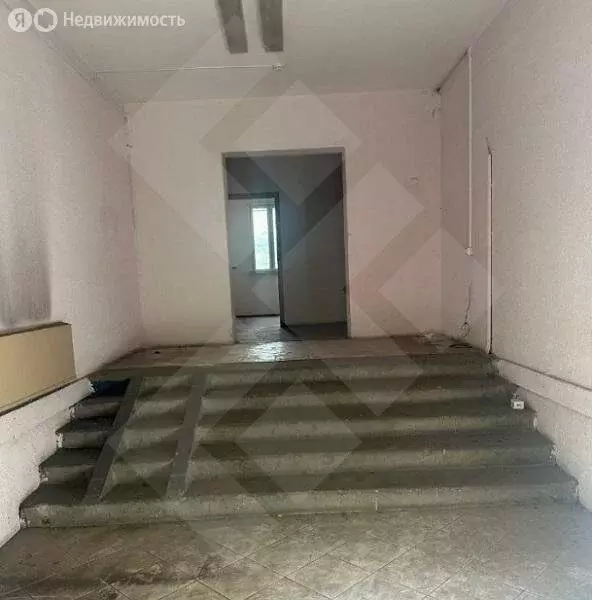 Помещение свободного назначения (233 м) - Фото 2