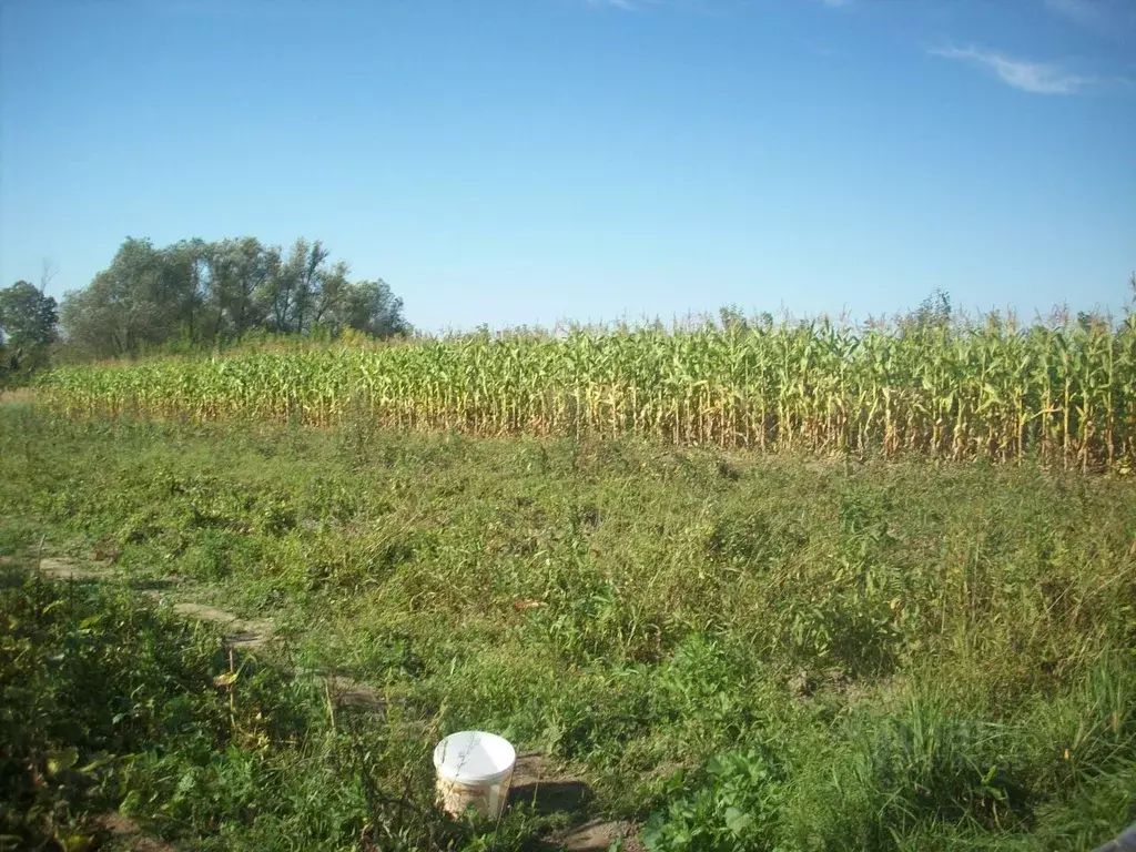 Участок в Рязанская область, Спасский муниципальный округ, с. Старый ... - Фото 2