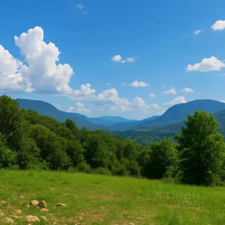 Участок в Краснодарский край, Сочи городской округ, с. Каштаны ул. ... - Фото 2