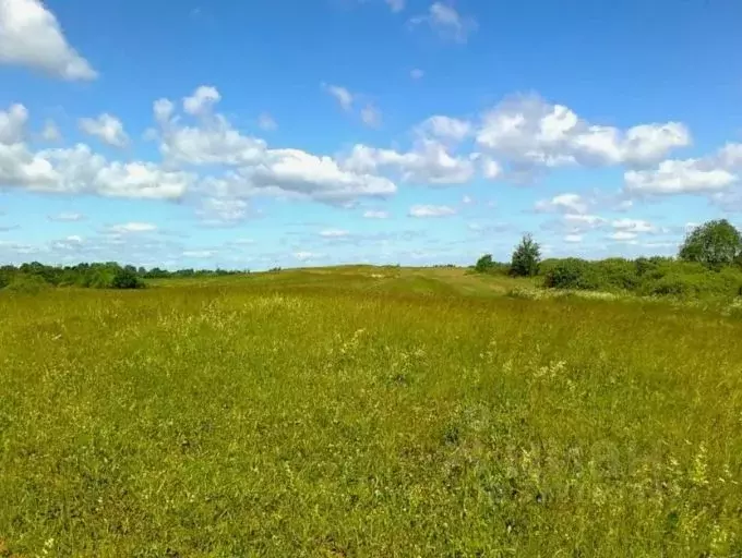 Участок в Тульская область, Щекинский район, Огаревское с/пос, д. ... - Фото 2