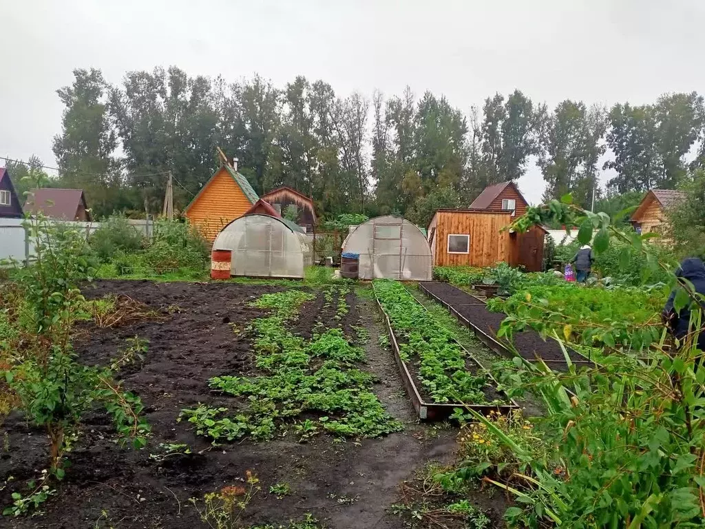 Дом в Кемеровская область, Новокузнецкий муниципальный округ, пос. ... - Фото 1