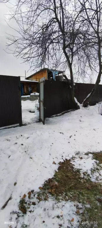 Участок в Новосибирская область, Новосибирский район, Кудряшовский ... - Фото 1