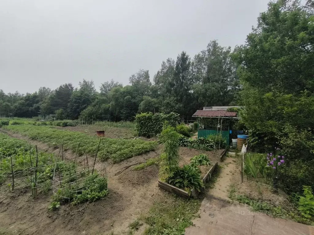 Участок в Еврейская автономная область, Смидовичский район, Темп ... - Фото 0