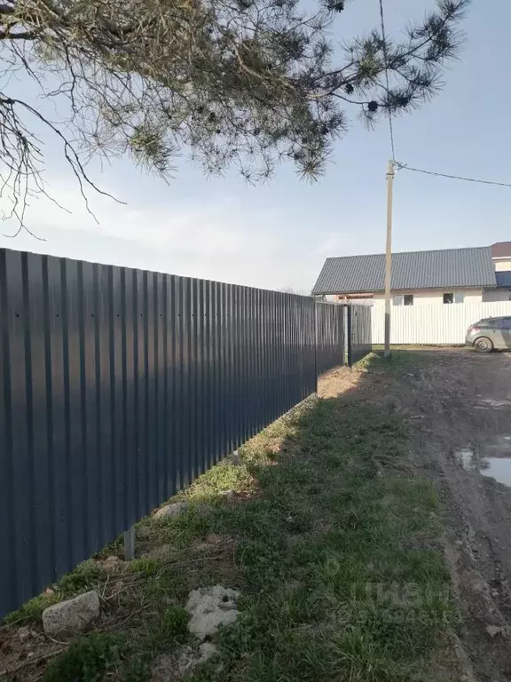 Участок в Новгородская область, Новгородский район, Трубичинское ... - Фото 1