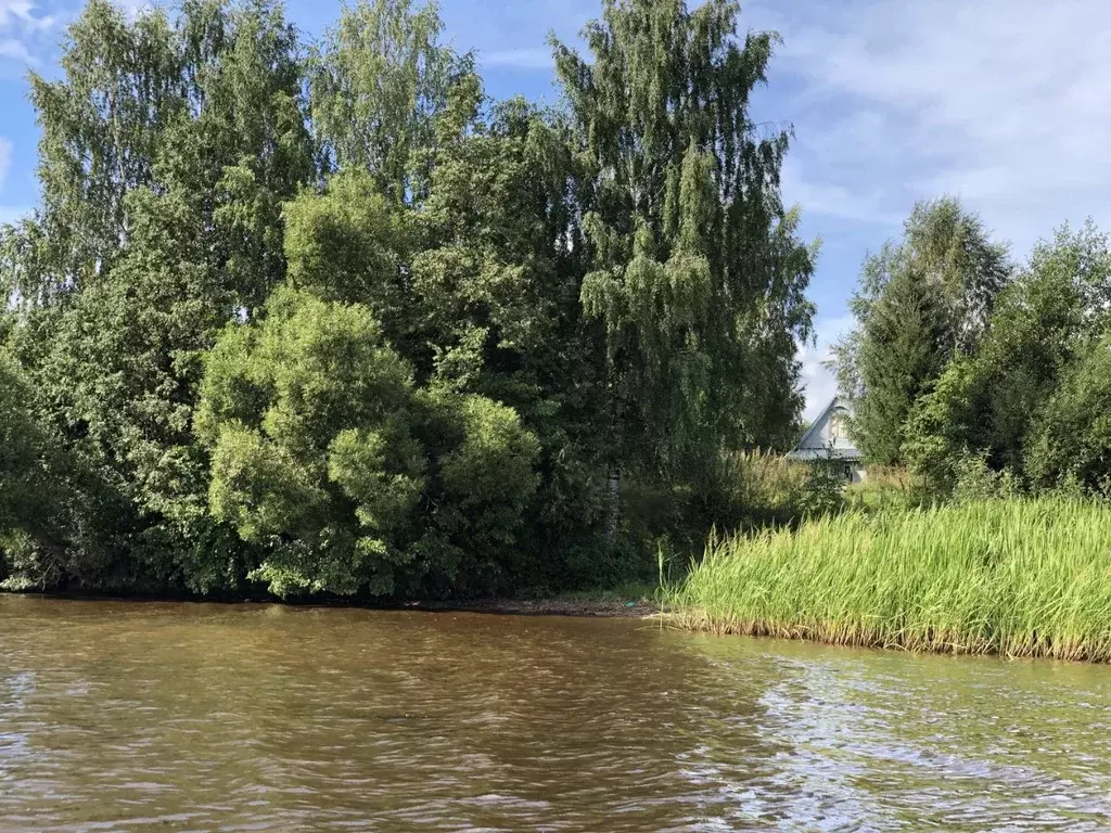 Участок в Тверская область, Кашинский муниципальный округ, д. Доманово ... - Фото 2