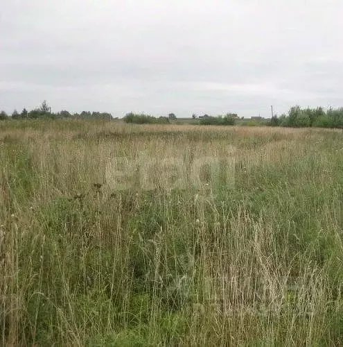 Участок в Мордовия, Лямбирский район, Саловское с/пос, д. Новое ... - Фото 1