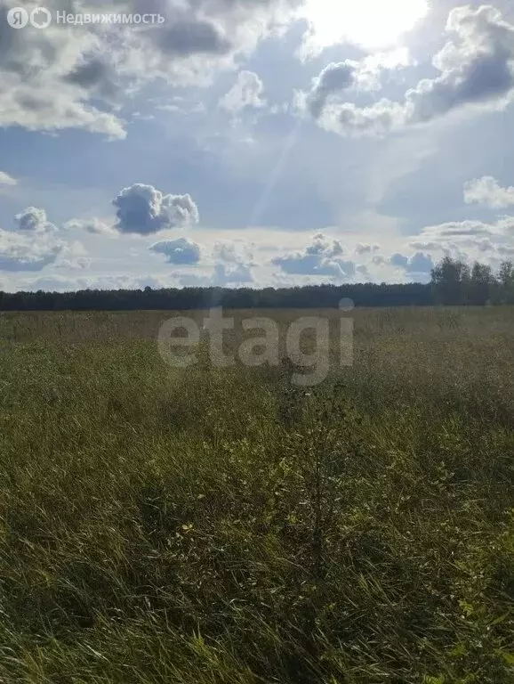 Участок в Тюменский муниципальный округ, Червишевское муниципальное ... - Фото 2