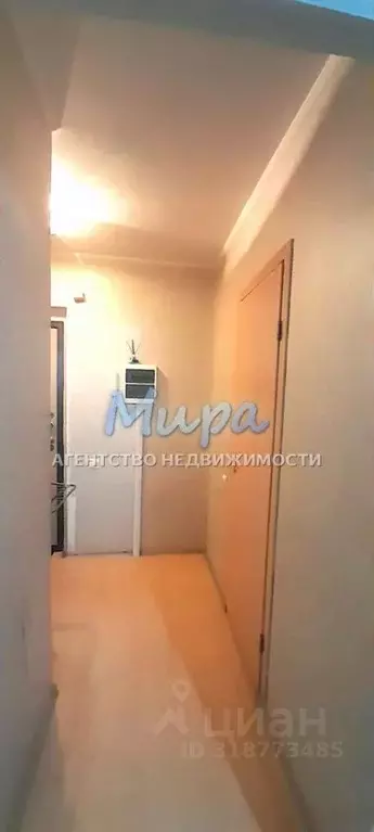 1-к кв. Московская область, Люберцы городской округ, Марусино пгт ул. ... - Фото 1