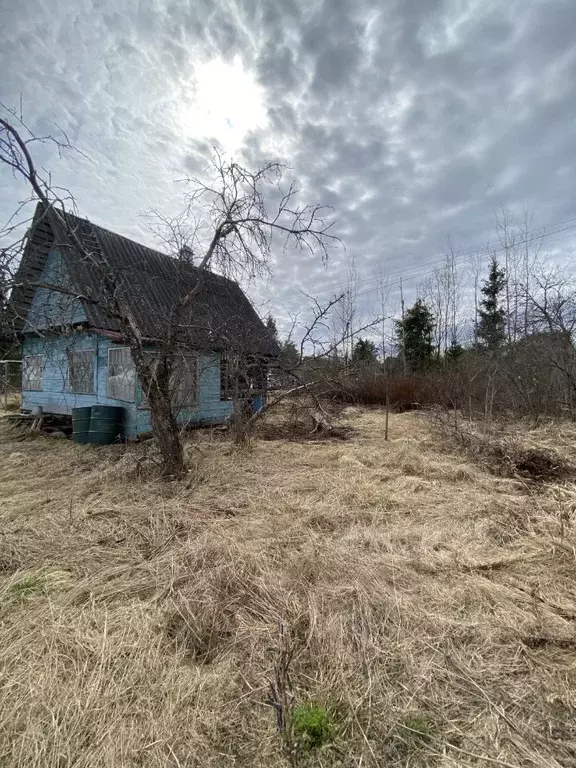 Участок в Ленинградская область, Тосненский район, Трубникоборское ... - Фото 1