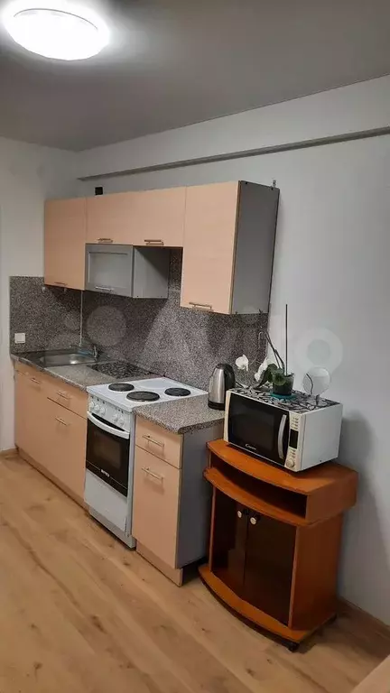 1-к. квартира, 43 м, 1/1 эт. - Фото 1