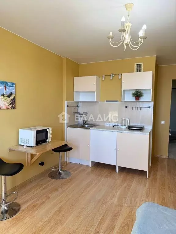 Студия Санкт-Петербург Полевая Сабировская ул., 47к1 (24.51 м) - Фото 2