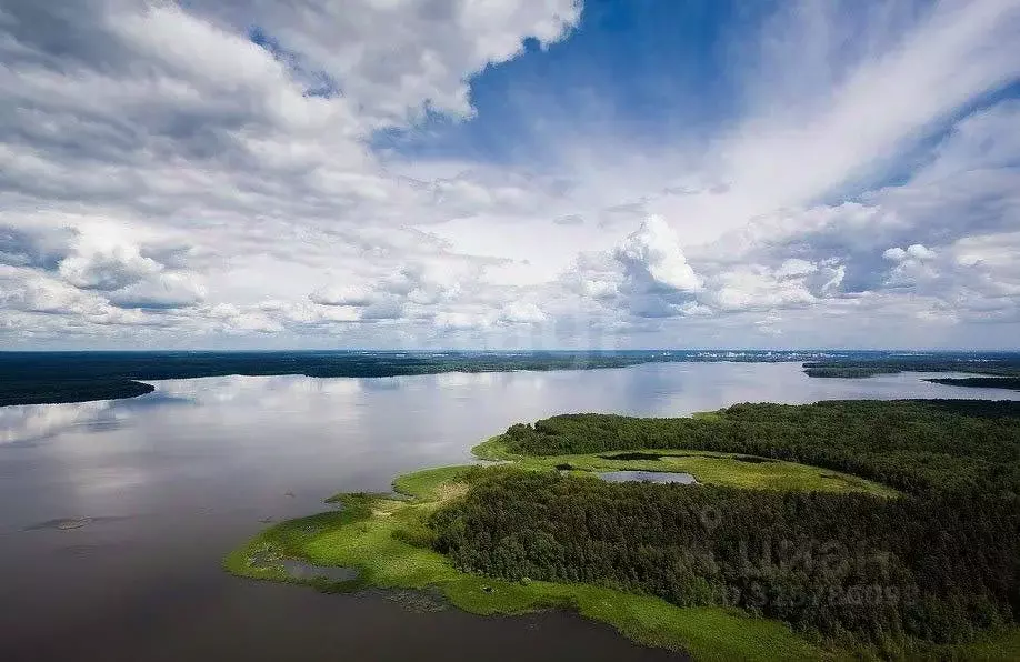 Дом в Московская область, Пушкино Новая Деревня мкр, Центральная ул., ... - Фото 1