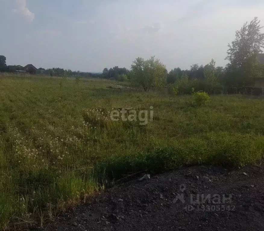 Участок в Кемеровская область, Кемеровский район, с. Елыкаево  (10.6 ... - Фото 1