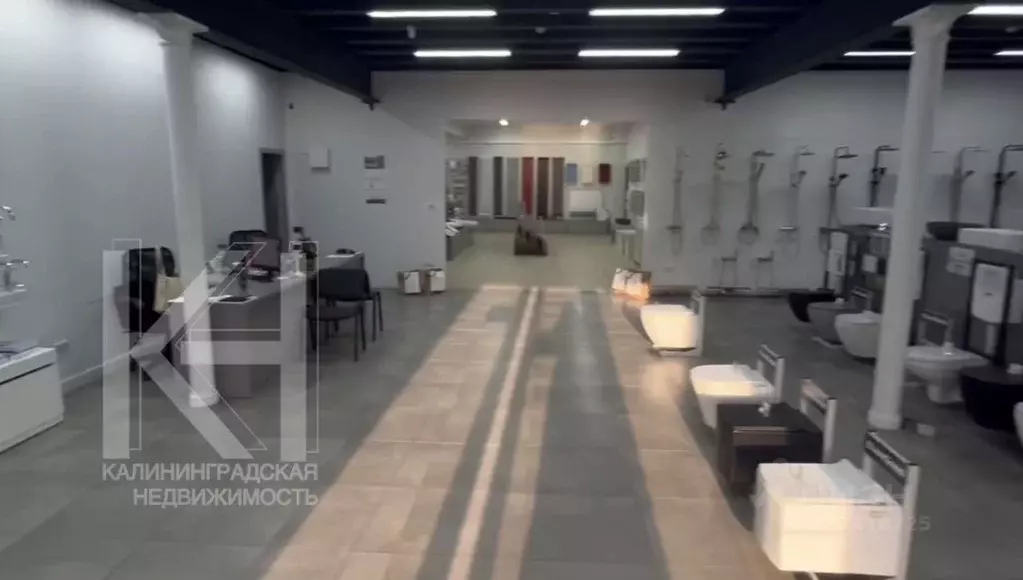 Помещение свободного назначения в Калининградская область, Калининград ... - Фото 1