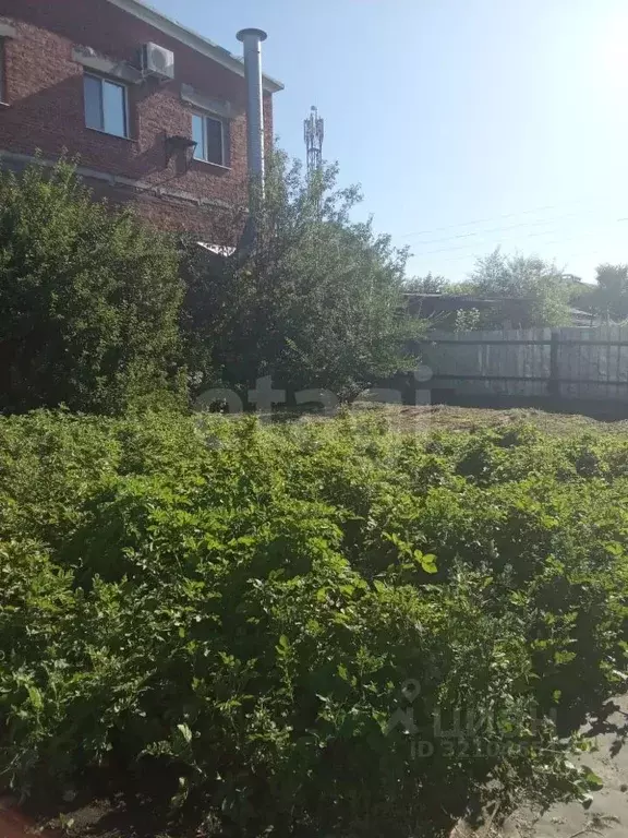 Участок в Амурская область, Благовещенск Высокая ул., 109 (10.0 сот.) - Фото 1