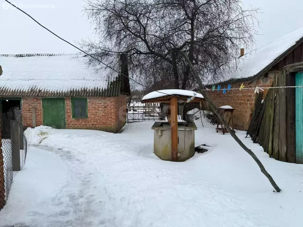 Дом в Белгородская область, Шебекинский муниципальный округ, село ... - Фото 1
