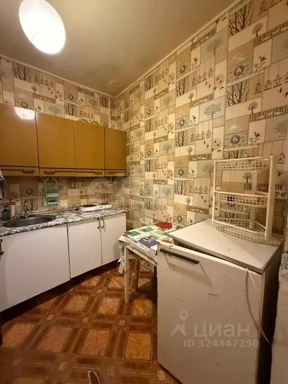 1-к кв. Костромская область, Кострома Строительный проезд, 4 (24.2 м) - Фото 1