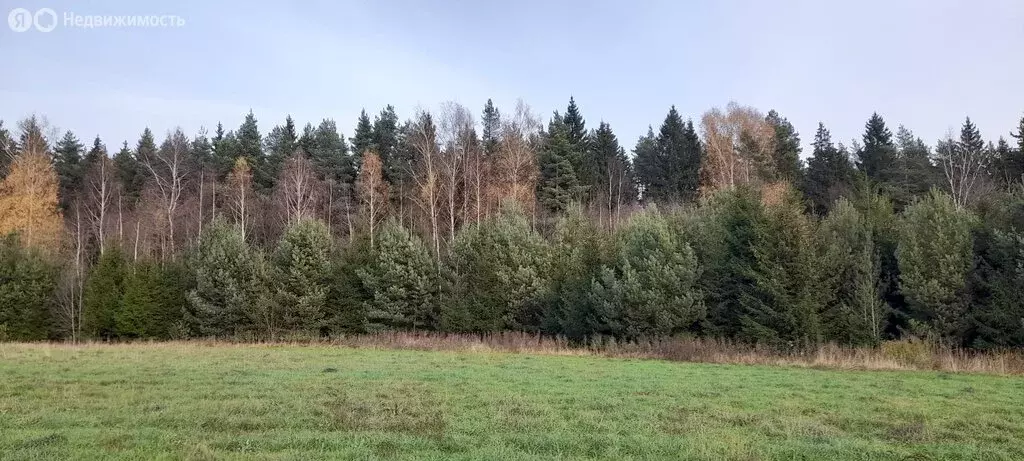 Участок в Московская область, городской округ Клин, рабочий посёлок ... - Фото 0