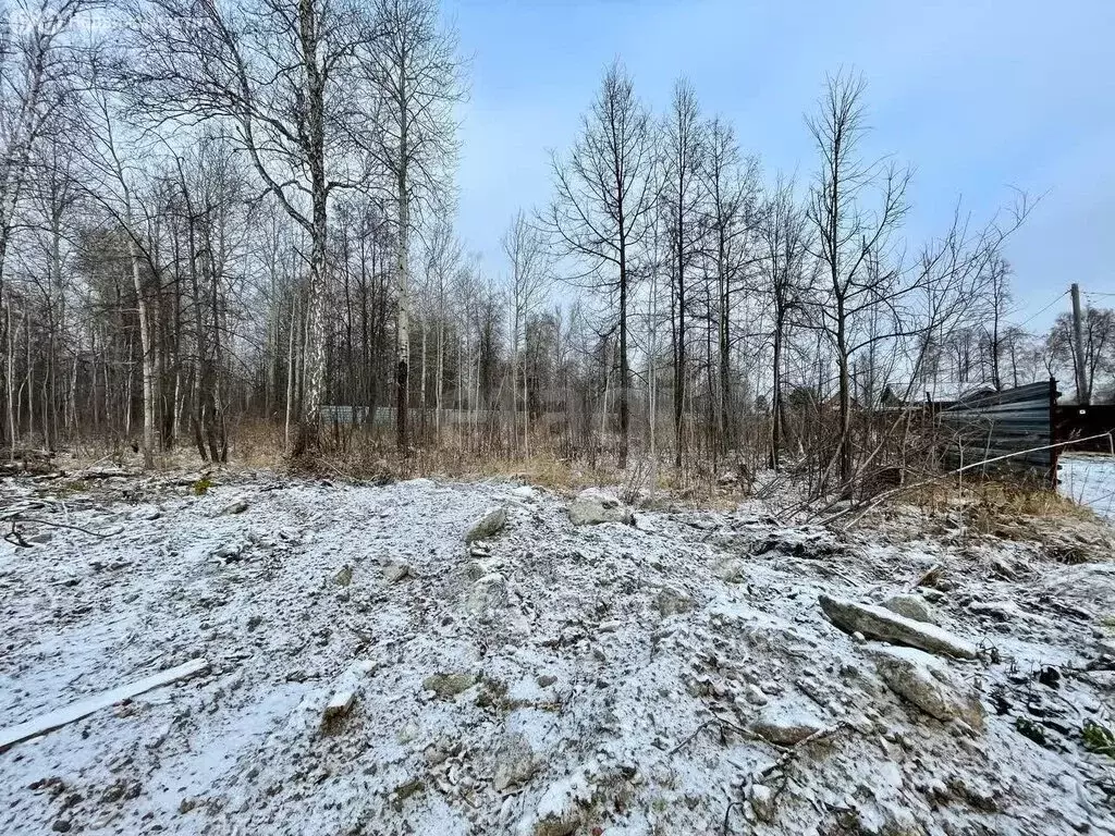 Участок в Тюменская область, Нижнетавдинский муниципальный округ, СНТ ... - Фото 2