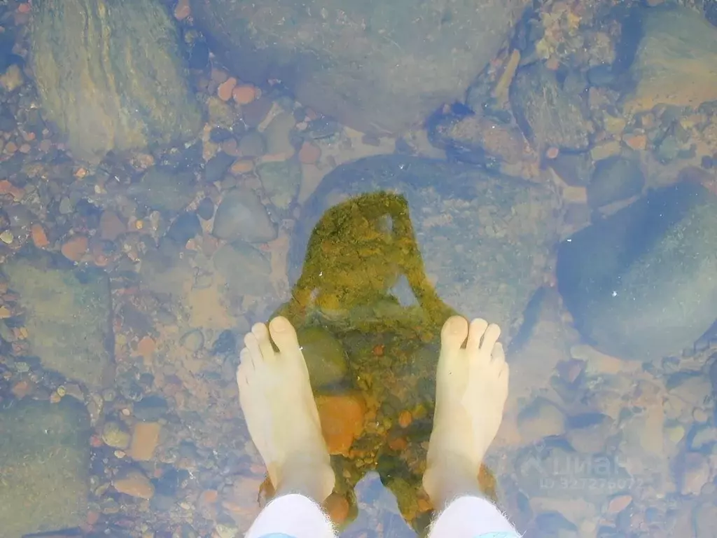 Участок в Ленинградская область, Приозерский район, Ларионовское с/пос ... - Фото 2