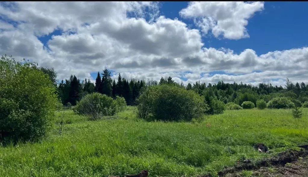 Участок в Кировская область, Слободской район, д. Шихово  (10.0 сот.) - Фото 1