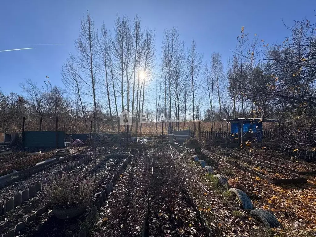 Участок в Саратовская область, Балаковский район, Натальинское ... - Фото 2