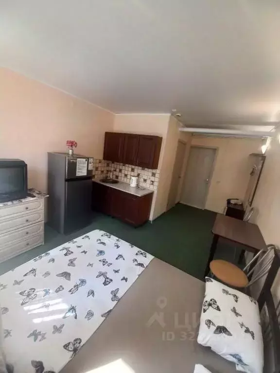 1-к кв. Тюменская область, Тюмень Барнаульская ул., 42 (20.0 м) - Фото 2