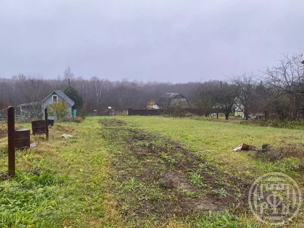 Дом в Ленинградская область, Лужский район, Скребловское с/пос, д. ... - Фото 2