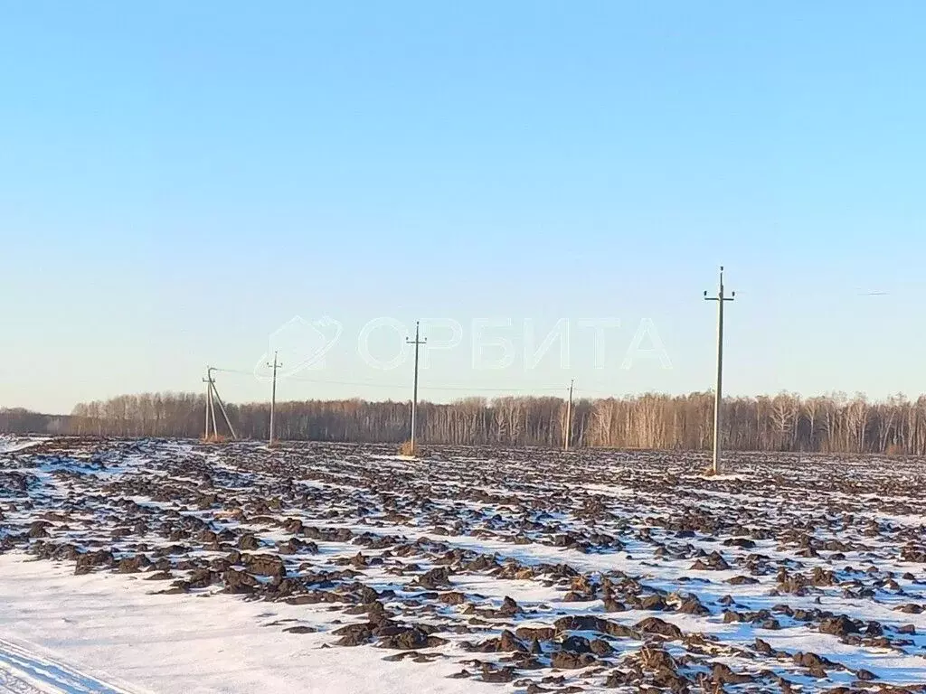 Участок в Тюменская область, Тюменский район, с. Горьковка Сибирская ... - Фото 0