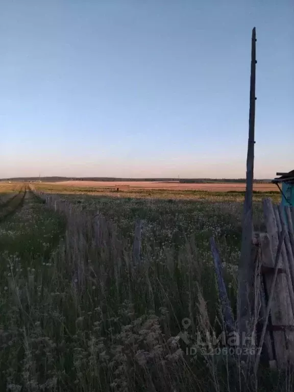 Участок в Челябинская область, Чебаркульский муниципальный округ, д. ... - Фото 1