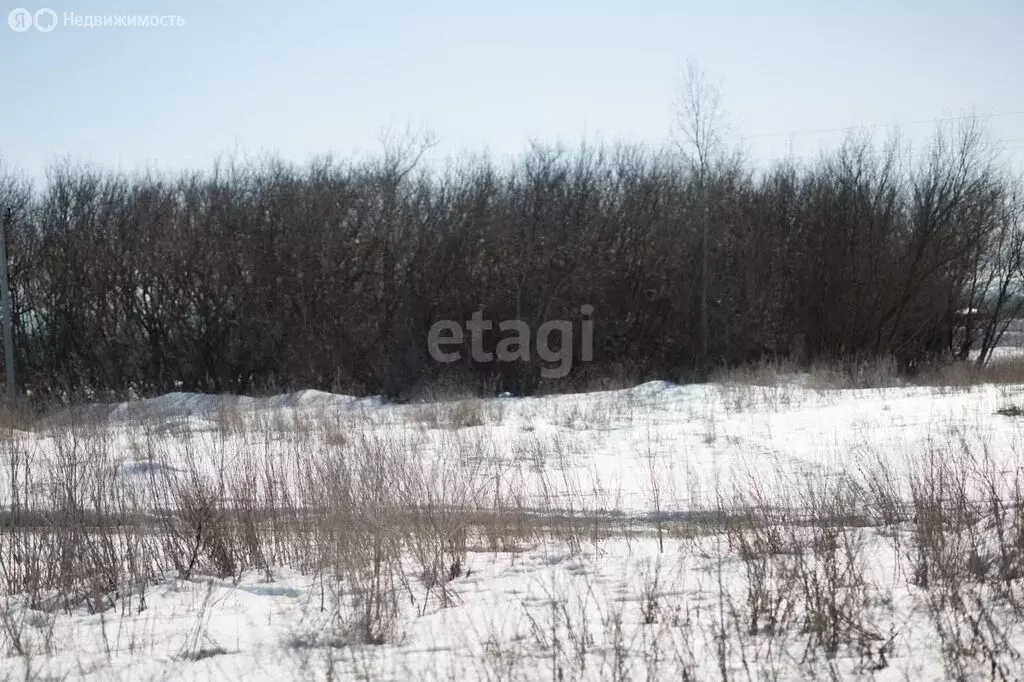 Участок в Бессоновский район, садоводческое некоммерческое ... - Фото 1