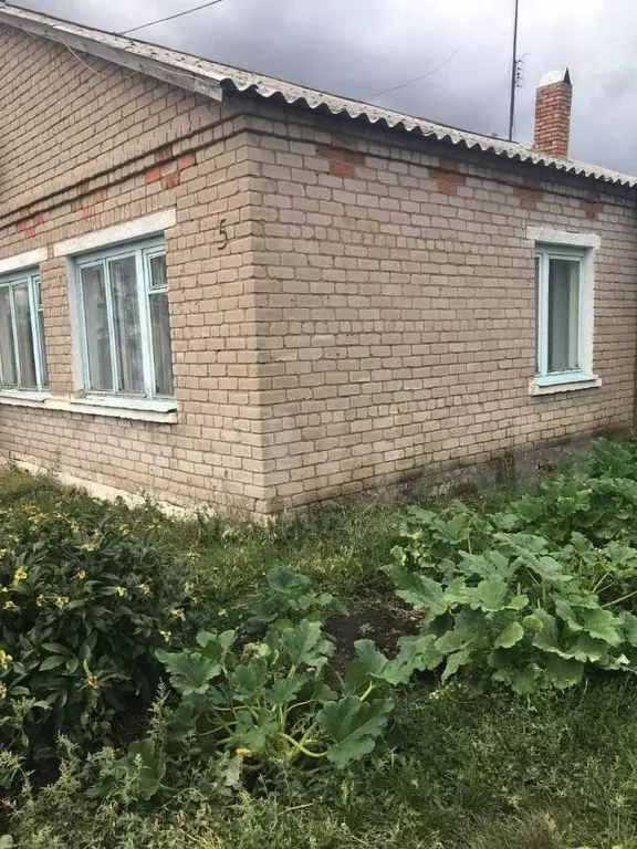 Новый кутулук самарская область. Гбоу сош новый кутулук фото. Гбоу сош новый кутулук фото. Ооо неприк самарская область борский район. Река кутулук самарская область.